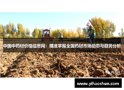 中国中药材价格信息网：精准掌握全国药材市场动态与趋势分析