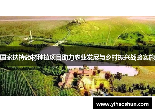 国家扶持药材种植项目助力农业发展与乡村振兴战略实施