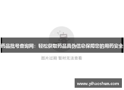 药品批号查询网:轻松获取药品真伪信息保障您的用药安全