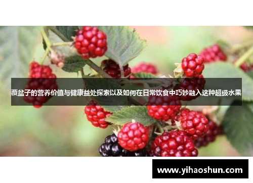 覆盆子的营养价值与健康益处探索以及如何在日常饮食中巧妙融入这种超级水果
