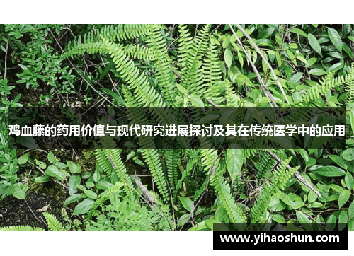 鸡血藤的药用价值与现代研究进展探讨及其在传统医学中的应用