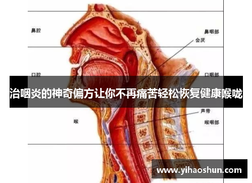 治咽炎的神奇偏方让你不再痛苦轻松恢复健康喉咙