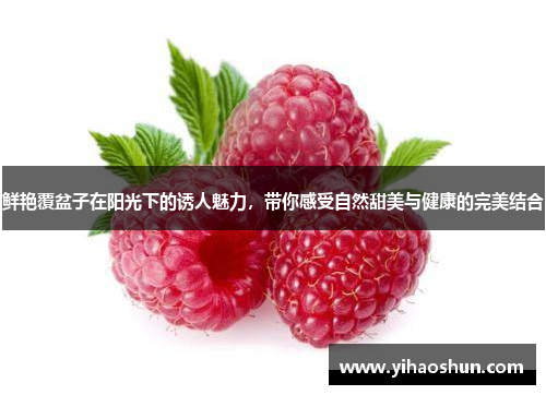 鲜艳覆盆子在阳光下的诱人魅力,带你感受自然甜美与健康的完美结合